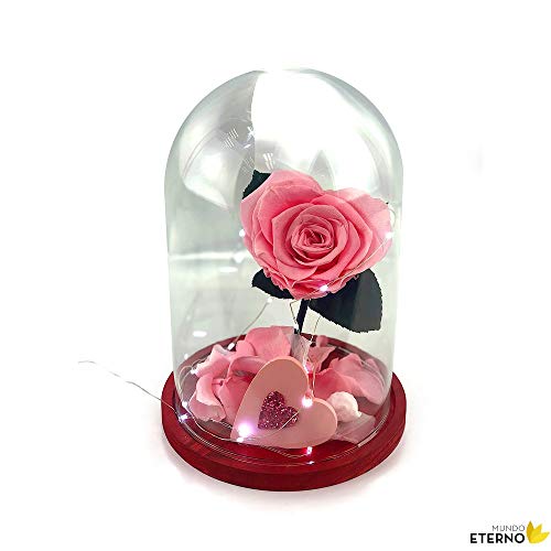 Cúpula Bella y Bestia Rosa Eterna Corazón Preservada Rosa Pastel