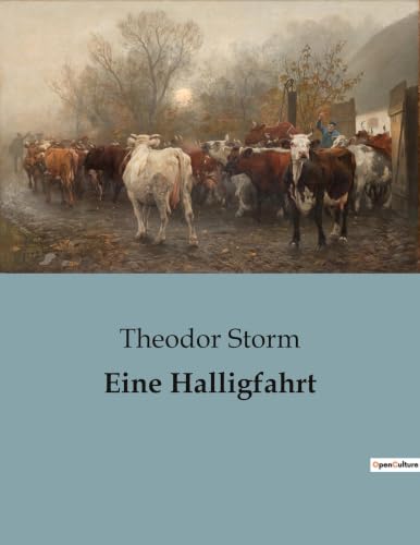 Eine Halligfahrt: Ein Sturm, der Geheimnisse enthüllt (German Edition)