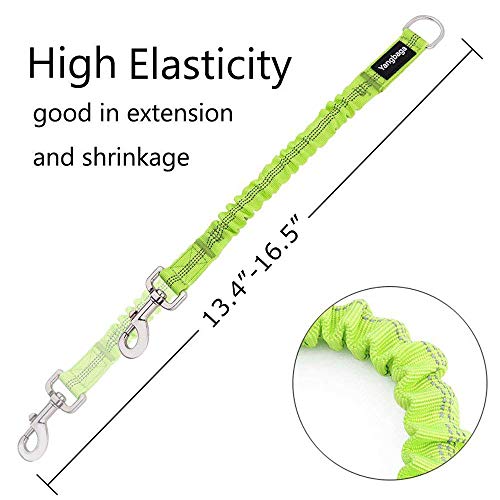 Yangbaga Ruckdämpfer,hundefreundliche Leine, elastische Hunde Leine mit Zugdämpfung, Nylon-Kurzleine Perfekte Dämpfung beim Fahrrad für Hunde ab Kleiner Größe Grün (2 * 26cm)