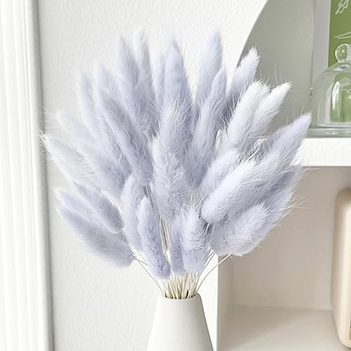 60PCS Rabbit Tail Grass Dried Flowers Dried Natural Floral Arrangement Bunch Decoration Dried Grass,Eternal Flower Dried Grass for Home,Wedding,Party,Flower Bouquet,Photo Props Decor (Grey)