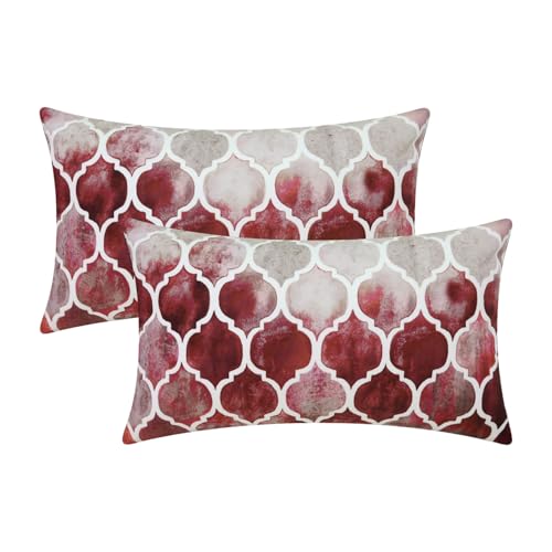 CaliTime Decorative Couch Accents Throw Pillow Covers 20 X 12 Inches