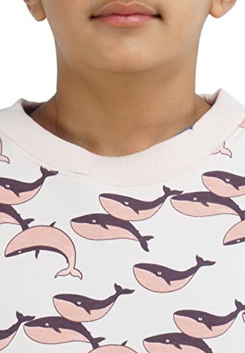 Image of Real Basics Boys Cotton Round Neck Sweatshirt /Hoodie