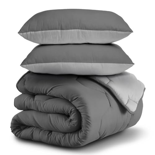 IDMarket - Couette 220x240 CM Abby Bicolore Gris Clair et Gris 300 GR + 2 oreillers