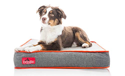 solid memory foam dog bed
