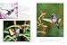Birds & Blooms Ultimate Guide to Hummingbirds: Discover the wonders of one of nature's most magical creatures (Birds & Blooms Guide)