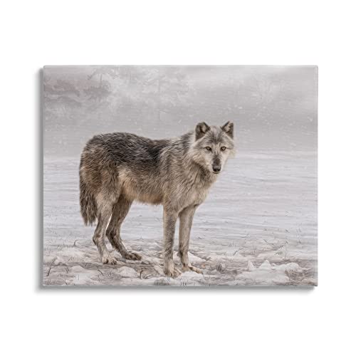 Stupell Industries Lone Coyote Wolf Snowy Field Landscape Intricate Details Canvas Wall Art, Design By Kelley Parker #TOP17