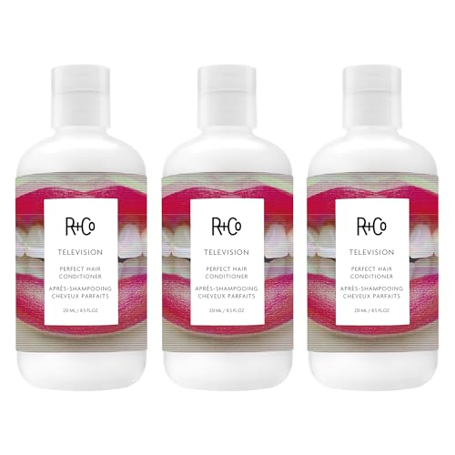 R+Co TELEVISION Perfect Hair Conditioner