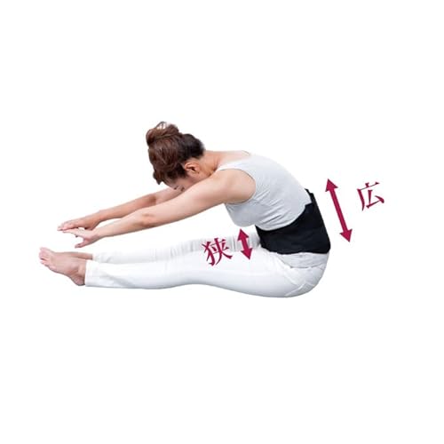 竹虎『しっかり腰部支援帯』