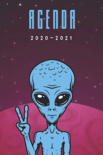 Télécharger Agenda 2020 - 2021: Agenda Journalier 2020 - 2021 | Idéal Scolaire, College, Lycée, Etudes supéri PDF