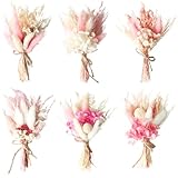Trockenblumen Zum Basteln,6 Stück Bündel Trockenblumenstrauß,Getrocknete Blumen,Trockenblumen Set,DIY Natürliche Getrocknet Blumen Set,​für Kunst DIY Harz Scrapbooking
