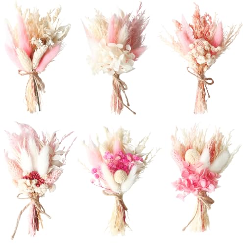 Fiori Secchi Decorativi Naturali,6 Pezzi Fiori Secchi Naturali,Fiori Secchi Decorativi