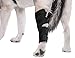 AGON® Dog Leg Braces for Back Leg wrap hock Compression Protects Wounds and Helps heal hind Legs Rear Ankle Joint, preventing Injuries, sprains Providing Stability for Dogs, Canines Arthritis (Large)