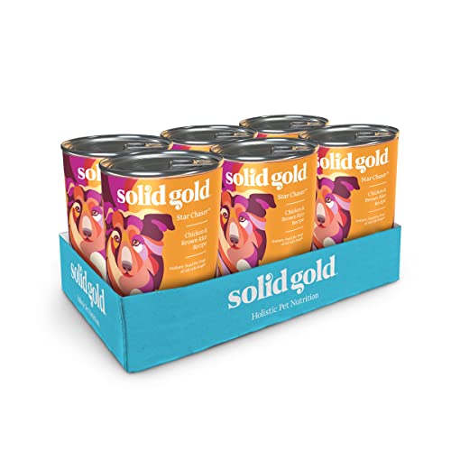 solid gold dog food canned - Solid Gold Canned Dog Food for Adult & Senior Dogs - Made with Real Chicken and Whole Grains - Star Chaser High Calorie Wet Dog Food for Healthy Digestion and Immune Support