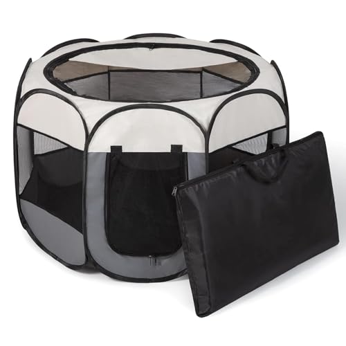 pets which dog house best patios