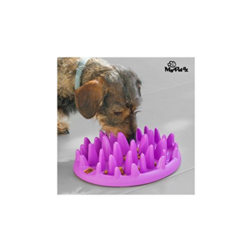 My Pet Ez ig113133 interaktiver Futterspender für Haustiere