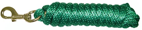 Hamilton Pet & Equine Poly Lead with Bolt Snap, Green, 5/8-Inch by 10-Feet