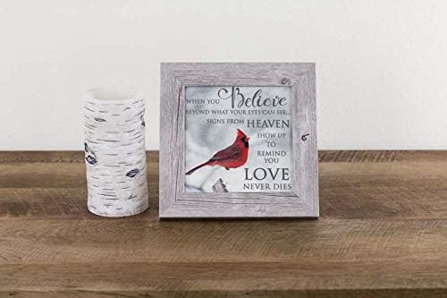 When You Believe Beyond What Your Eyes Can See Miracles Heaven Cardinal Sympathy Framed Decor Art Picture Sign