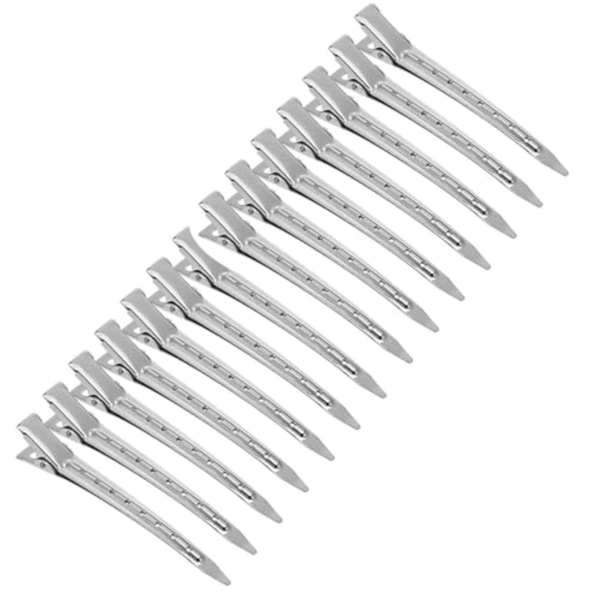 Professional Steel Hair Styling Clips, Set of 12