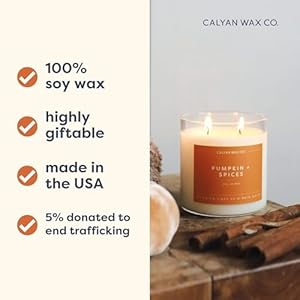 Pumpkin Spice Scented Holiday Candle Soy Wax Candles for The Home Scented with Phthalate Free Oils 35 x 3 inch 88 oz 37 Hour Burn Time Fall Candles Home Decor in Glass Jar Calyan Wax