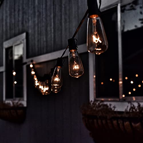Cadena de luces Edison Northlight 10 unidades 9 pies miniatura 4