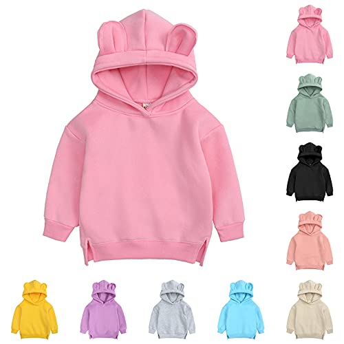 Youth Bear Hoodies for Boys Toddler Boys Girls Pullover Fleece Sweatshirt Children (Blue, 9-12 Months)