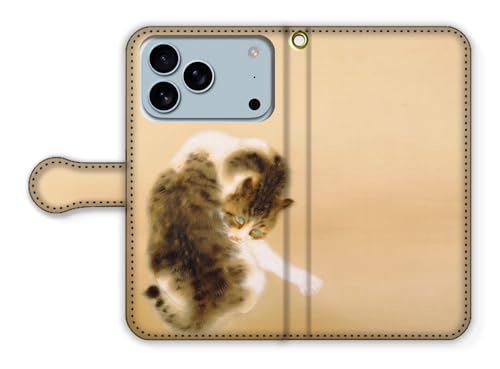 蒠^ iPhone17 Pro݊ X}zP[X yE̖z |P {恙 G |p A[g a L lR art (ǔL)