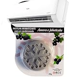 Pastilha Bactericida Aromatizante para Ar Condicionado Split – AROMA AMORA E JABUTICABA (25g) Higienizadora Ação neutralizadora de odores Aroma contínuo ELIMINA MAU CHEIRO