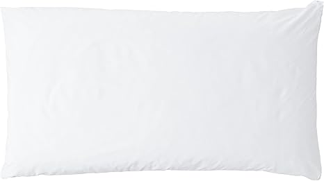 bed bug proof pillows