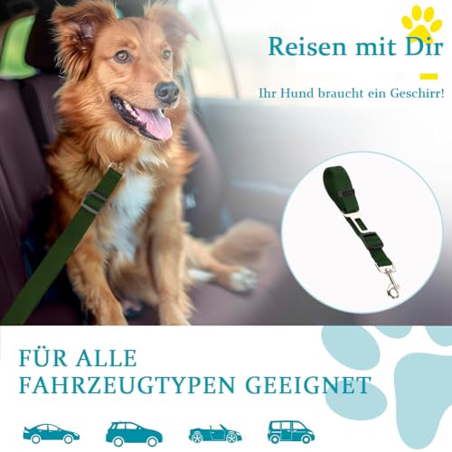 Anschnallgurt Hund Auto, Verstellbarer Hundegurt Auto, Hundeanschnaller fürs Auto, Sicherheitsgurt Hundegeschirr Auto Rückbank, Reise & Transport für Hunde, für alle Hunderassen, Katzen und Autotypen