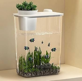 水槽 nanaa Amazon | 小型水槽 |水槽 |小さな水族館 |ベタ水槽 | ベタ水槽