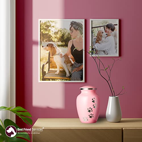 Best Friend Services Pet Urn - Ottillie Paws Legacy Memorial Pet Cremation Urns For Dogs And Cats Ashes Hand Carved Brass Memory Keepsake Urn (Large, Ardent Pink, Vertical Pewter Paws) #TOP6