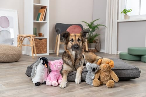 Trixie Kuscheltier Hund Enno aus Recycling-Plüsch - Nachhaltiges Trixie Hundespielzeug Be Eco Serie - Weiches Plüschtier für Hundetraining & Spielspaß, 40 cm - 34885