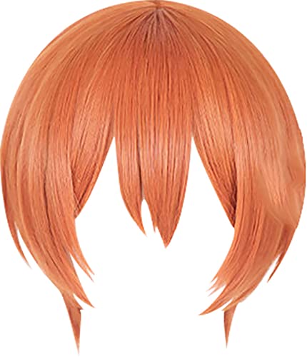 YWKSH Cosplay Perruque for Love Live Rin Hoshizora