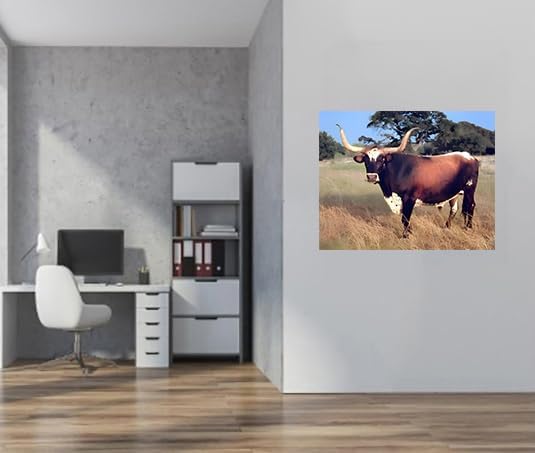 Miniatura 3 de Póster de Texas Longhorn vaca, novillo, granja, naturaleza, animales, paisaje, decoración de pared, impresión artística (16 x 20 pulgadas)