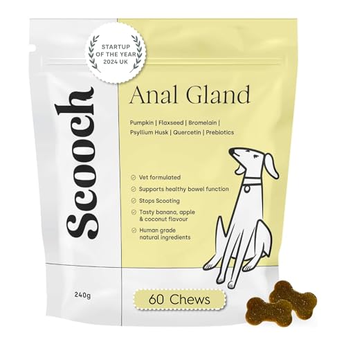 Scooch Anal Gland Supplement for Dogs 60 Chews (2-Month Supply) | Fibre & Pumpkin Support for Gut Health & Digestion | Relieves Scooting & Odour | Natural, Plant-Based, Vet-Formulated | For All Breeds