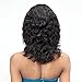 Janet Collection Luscious Remy Indian Human Hair NOVA Wig (NATURAL)