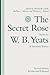 The Secret Rose, Stories by W. B. Yeats: A Variorum Edition (Stories by W.B.Yeats)