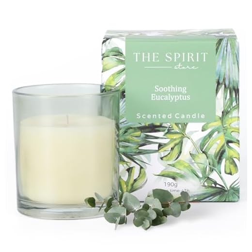 The Spirit Store Juego de velas perfumadas | Regalo de Navidad para mujeres novia para cumpleaños | Regalo de bienestar natural de soja grande