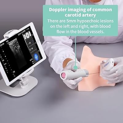 Ultrasound Guided Thyroid Puncture Phantom Thyroid biopsy Puncture Practice Training, Cell biopsy, Focus radiofrequency Ablation Practice, Training Teaching Demonstration