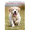 Labrador Handbook: Ultimate Guide to Care, Training & Bonding