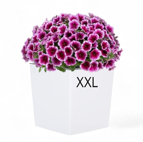 MELTOM XXL Pflanzkübel aus Kunststoff in Hochglanz Farbe: Weiß mit Herausnehmbaren Einsatz, BxTxH in cm: 39 x 39 x 41 cm, Eckig