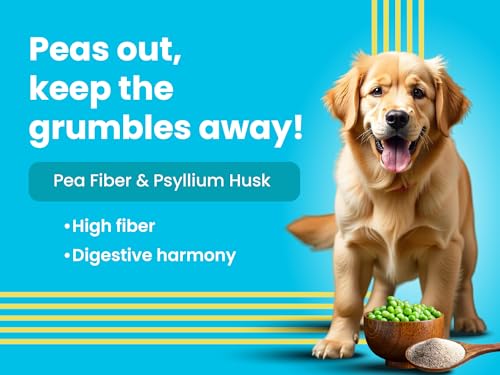 Image of Bark Out Loud Wet Dog Food Chunks | Chicken & Tuna Gravy Food for Adult Dogs | Grain-Free, Pea Protein with Omega Fatty Acids | Healthy & Tasty Meal for Dogs | 85 g (Pack of 12)