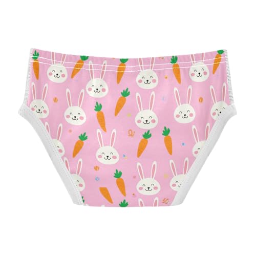 Cute Bunny Rabbit Carrot Pink Toddler Boy's Underwear 2T 23022132