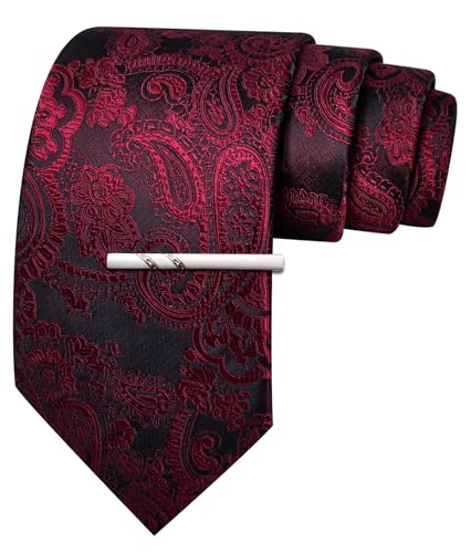 Image of Barry.Wang Paisley Tie for Men Silk Woven Necktie and Tie Clip Set Wedding Party Business Formal