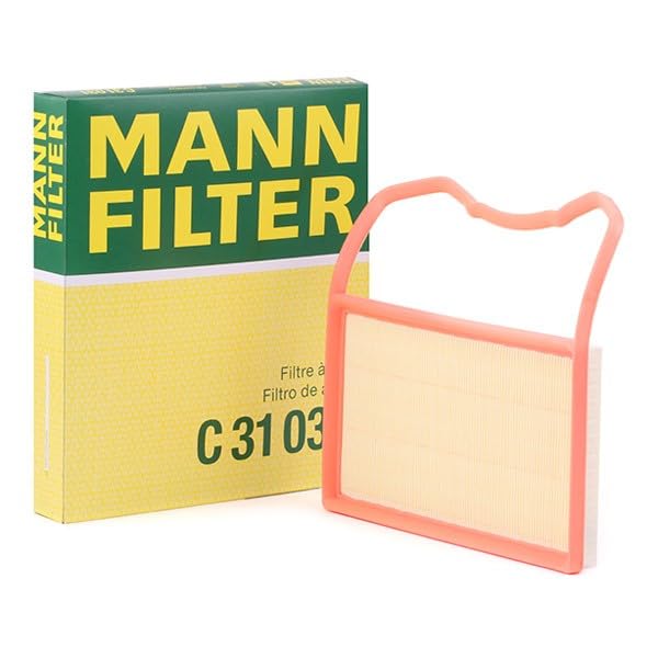 MANN-FILTER C 15 143/1 Filtro dell'aria - per Autovetture + veicoli commeriali