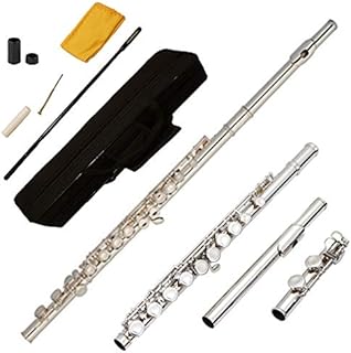 Funion Flute Set C Flute Closed hole With Case Rod Screwdriver Cleaning Cloth