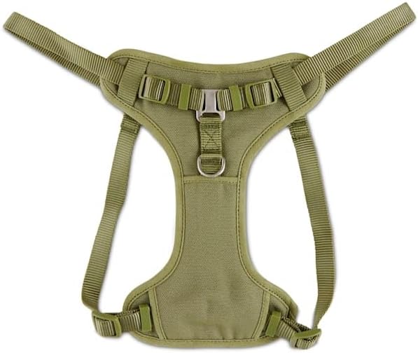 YOULY by Petco Padded Step-in Dog Harness Olive X-Small