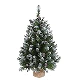 Triumph Tree