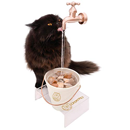 Bebedouro Para Gatos, Magicat Black Com Suporte 110V Catmypet Para Gatos