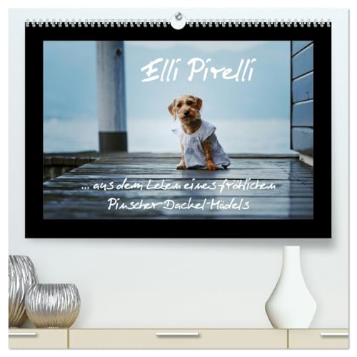  Elli Pirelli... aus dem Leben eines fröhlichen Pinscher-Dackel-Mädels (hochwertiger Premium Wandkalender 2026 DIN A2 quer), Kunstdruck in Hochglanz: ... Leben eines fröhlichen Pinscher-Dackel-Mädels